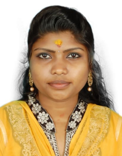 Saree Pre Pleating